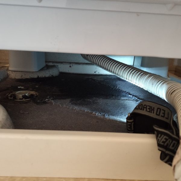 洗濯パン掃除が 短時間 で 簡単 にできる洗濯機水栓接続ホースが便利すぎた おそうじ専科